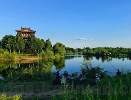 体育体彩足球比分直播-体育体彩与足球比分直播，科技赋能下的观赛新体验