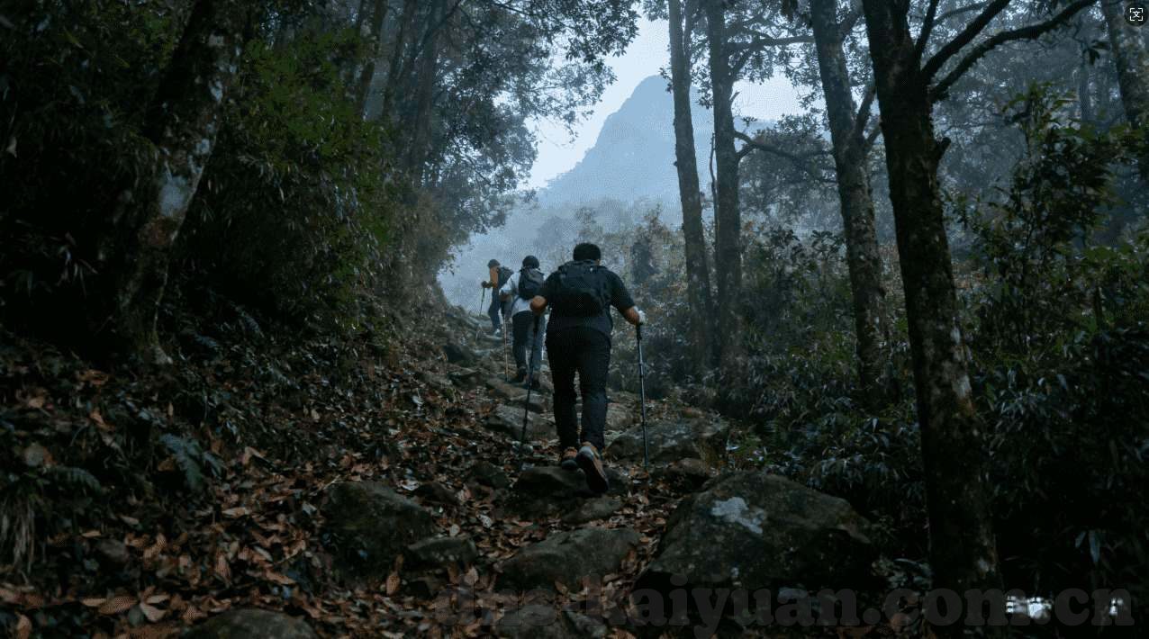 星空体育官网登录入口-星空下，体育之魂的门户，进入星空体育官网的无限可能